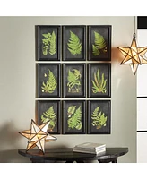 Framed Fern Botanical Prints, Set Of 9