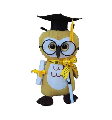 Kovot Graduation Autograph Plush Wisdom Owl with Pen - 12" H