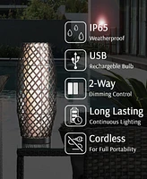 Lite Source Outdoor Cordless Baran Table Lamp