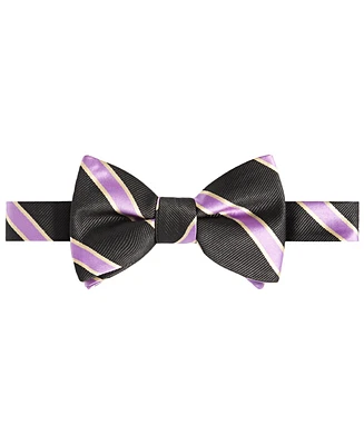 Tayion Collection Men's Purple & Gold Stripe Bow Tie