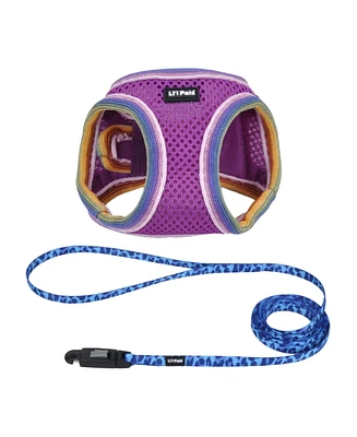 Coastal Pet Li'l Pals by Dog Walking Bundle - Patterned Dog Leash with E