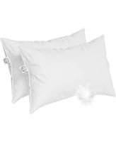 East Coast Bedding Elite European Down Dream Set of 2 Standard Pillow 800 Fill Power