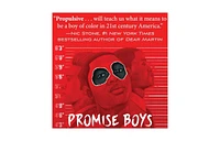 Promise Boys by Nick Brooks