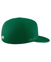 Men's Nike Green Michigan Wolverines St. Patrick's Day True Fitted Performance Hat