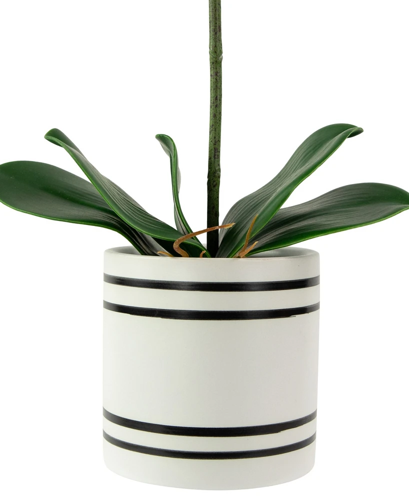 Northlight 2" Artificial Spring Orchids in a Striped Ceramic Pot