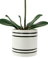 Northlight 2" Artificial Spring Orchids in a Striped Ceramic Pot