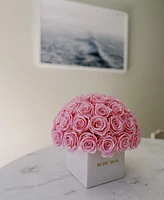 Rose Box Nyc Half Ball of Long Lasting Preserved Real Roses in Square Classic Ceramic Vase, 35 Roses