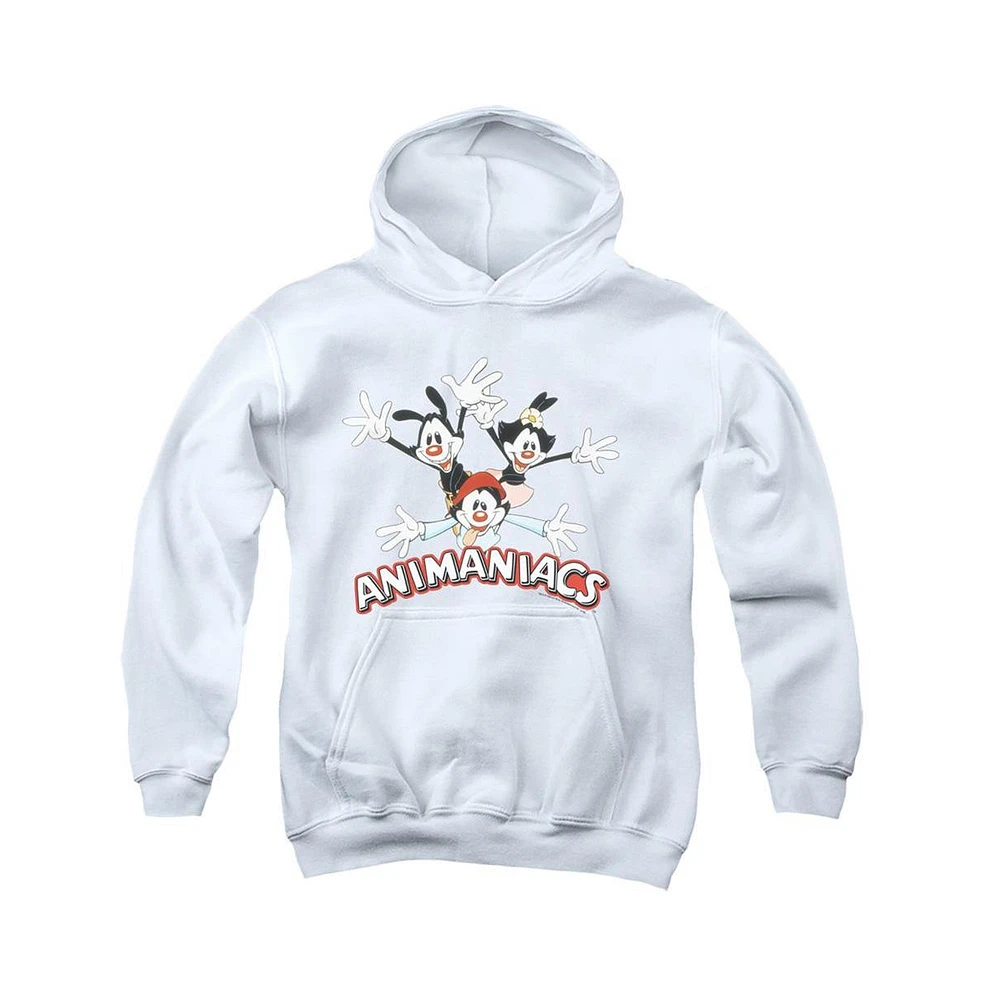 Animaniacs Boys Youth Trio Pull Over Hoodie / Hooded Sweatshirt