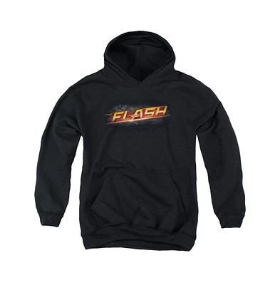 Flash Boys The Youth Logo Pull Over Hoodie / Hooded Sweatshirt