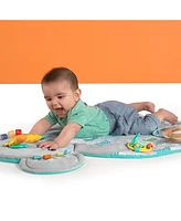 Hug ‘n Cuddle Activity Gym