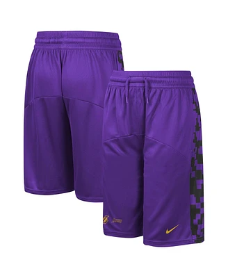 Big Boys Nike Purple Los Angeles Lakers Courtside Starting Five Team Shorts