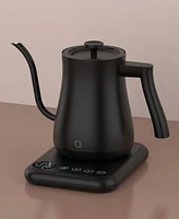 Willow Digital Gooseneck Kettle