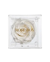 Rose Box Nyc Jewelry box of Pure White Long Lasting Preserved Real Rose, 1 Rose