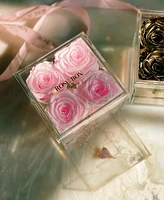 Rose Box Nyc Jewelry box of Light Pink Long Lasting Preserved Real Roses, 4 Roses