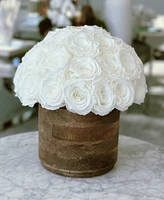 Rose Box Nyc Half Ball of Pure White Long Lasting Preserved Real Roses Classic Rustic Vase, 35 Roses