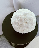 Rose Box Nyc Half Ball of Pure White Long Lasting Preserved Real Roses in Classic Ceramic Vase, 35 Roses