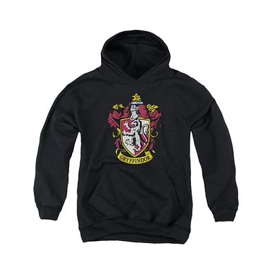 Harry Potter Boys Youth Gryffindor Crest Pull Over Hoodie / Hooded Sweatshirt