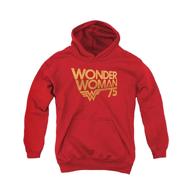 Wonder Woman Boys Youth 75th Anniversary Gold Logo Pull Over Hoodie / Hooded Sweatshirt