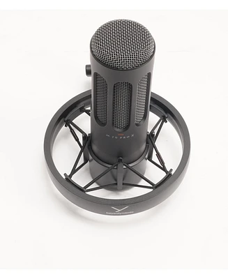 beyerdynamic Pro X M70 Professional Front-Addressed Dynamic Microphone