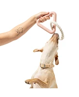 Wild One Triangle Tug Dog Toy