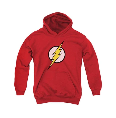 Justice League of America Boys Youth Flash Logo Pull Over Hoodie / Hooded Sweatshirt