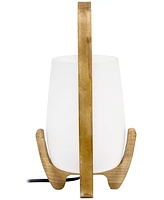 Lalia Home 15" Organix Contemporary Natural Wood Accented Table Desk Lamp with Translucent Glass Shade