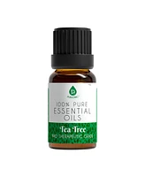Pursonic 8 pack of 100% Pure Essential Aromatherapy Oils