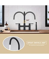Streamdale Furniture Double Handle Bridge Kitchen Faucet With Side Spray