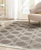 Safavieh Amherst AMT413 and Light 3' x 5' Area Rug