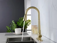 Gold Kitchen Faucets With Pull Down Sprayer, Kitchen Sink Faucet With Pull Out Sprayer