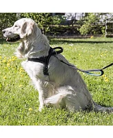 Happilax No Pull Dog Harness with Soft Padding and Reflective Material