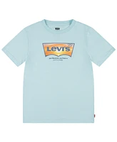 Levi's Big Boys Sunset Batwing Tee