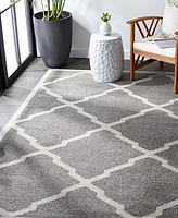 Safavieh Amherst AMT421 Dark Gray and Beige 8' x 10' Area Rug