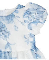 Rare Editions Baby Girl Two-Tone Organza Social Dress