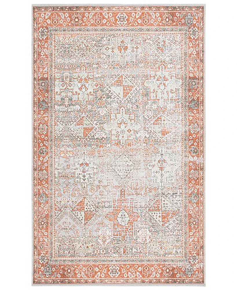 Safavieh Arizona Washable 199 ARZ199 9'x12' Area Rug