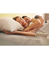 Cgk Unlimited Soft Microfiber Pillowcase Set of 2 - King