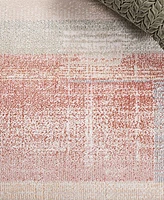 Safavieh Blair Washable 216 BLR216 5'3x7'6 Area Rug