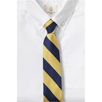 Lands' End Men's Stripe To Be Tied Tie