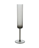 Fortessa Urbo Outdoor Clear Champagne Flute 6oz - Set of 6