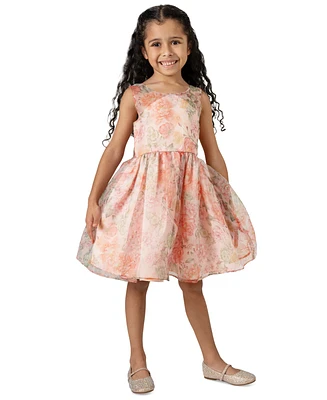 Rare Editions Toddler & Little Girls Illusion-Bodice Floral-Print Organza Social Dress