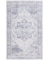 Arizona Washable Arz137 Rug Collection