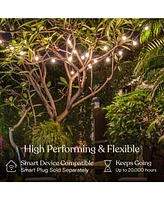 Brightech Ambience Pro 26 ft. Led Indoor/Outdoor Plug-In String Lights with Soft White Hue