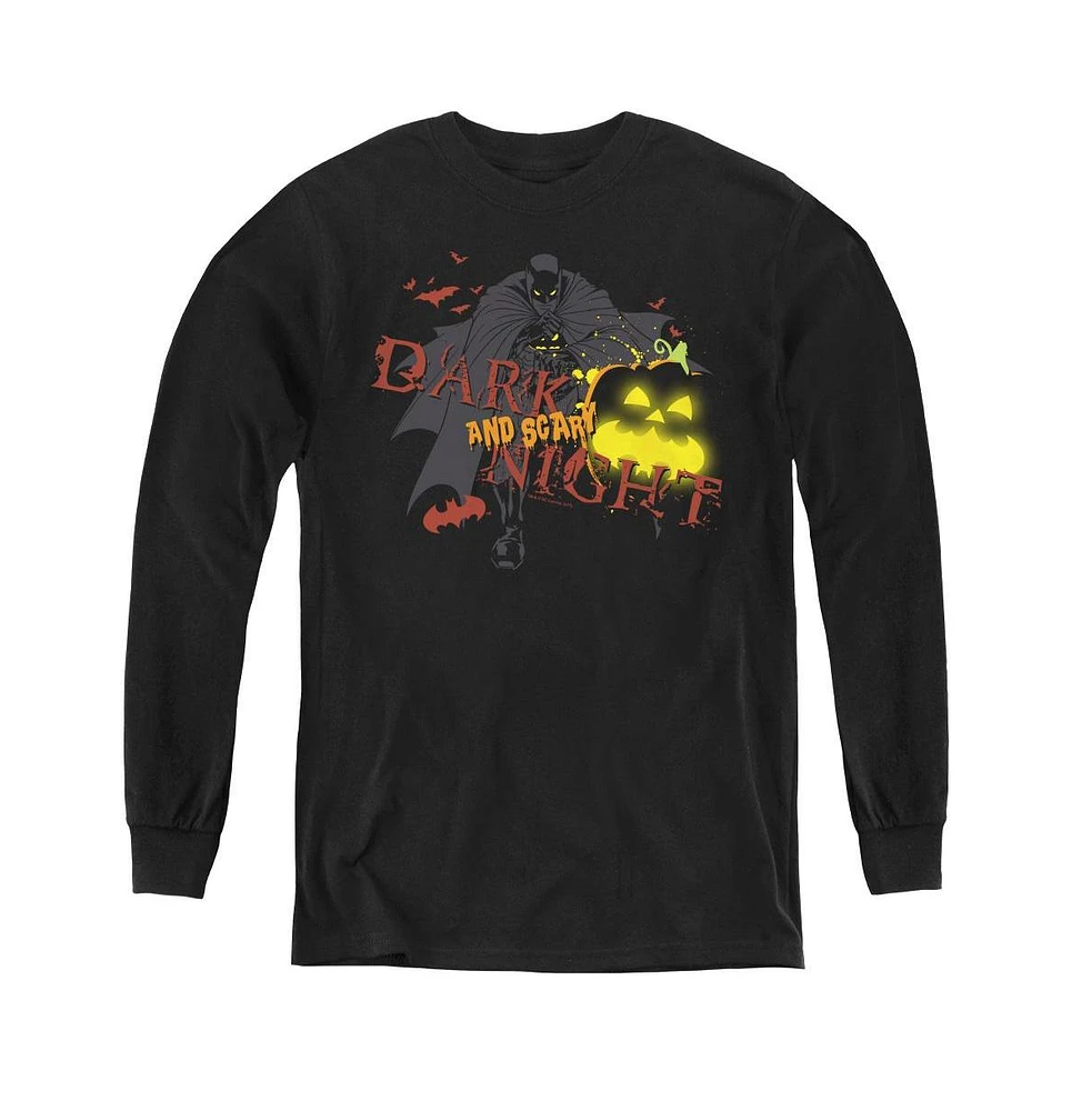 Batman Boys Youth Dark And Scary Night Long Sleeve Sweatshirts