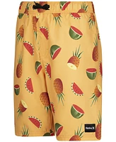 Hurley Big Boys Fruit Slice Printed Pull-On Swim Shorts