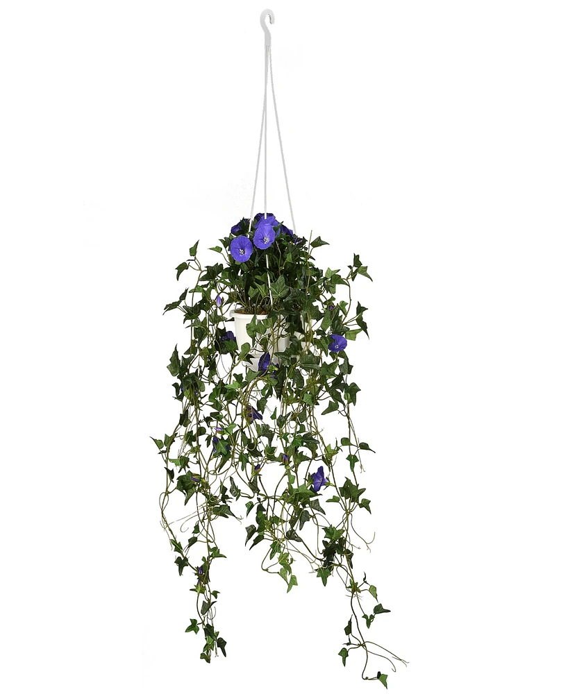 National Tree Company 44 Hanging Morning Glory Plant