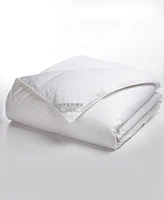 Sferra Buxton 350-Thread Count White Goose Down Comforter, Queen