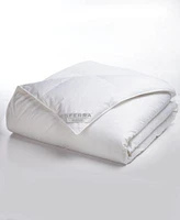 Sferra Buxton 350 Thread Count White Goose Down Comforters