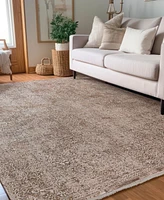 Dalyn Vienna VI5 5'x7'10 Area Rug