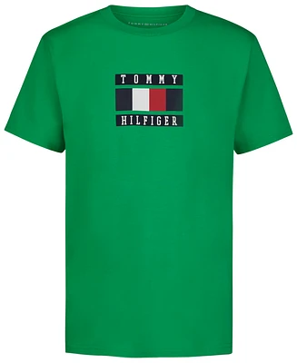 Tommy Hilfiger Big Boys Global Stripe Block Logo Graphic T-Shirt