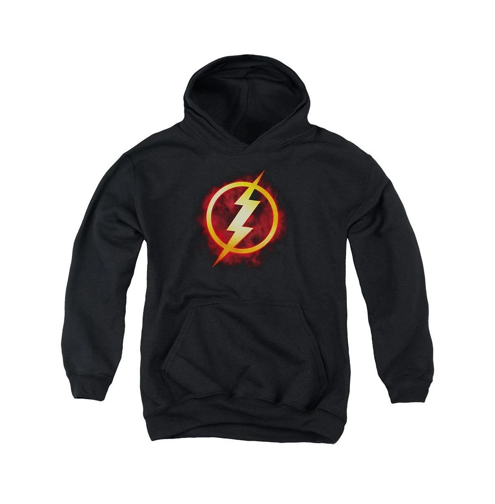 Justice League Boys of America Youth Flash Title Pull Over Hoodie / Hooded Sweatshirt